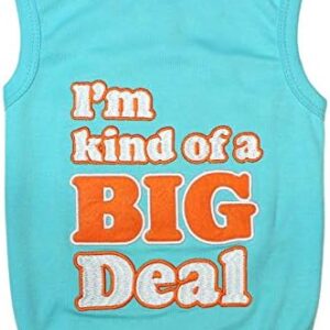 Embroidered Big Deal Dog T-Shirt for Small Pets
