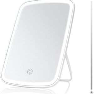 Lighted Makeup Mirror with Lights