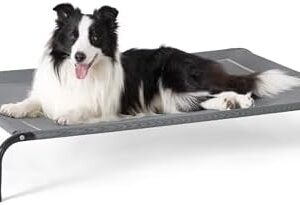 Elevated Cooling Dog Bed for Large Dogs – 49-Inch Outdoor Mesh Cot
