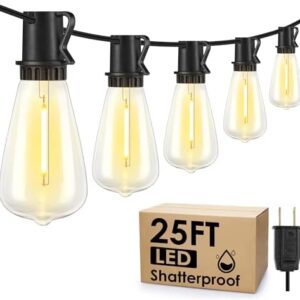 25FT Outdoor String Lights with Dimmable LED Bulbs